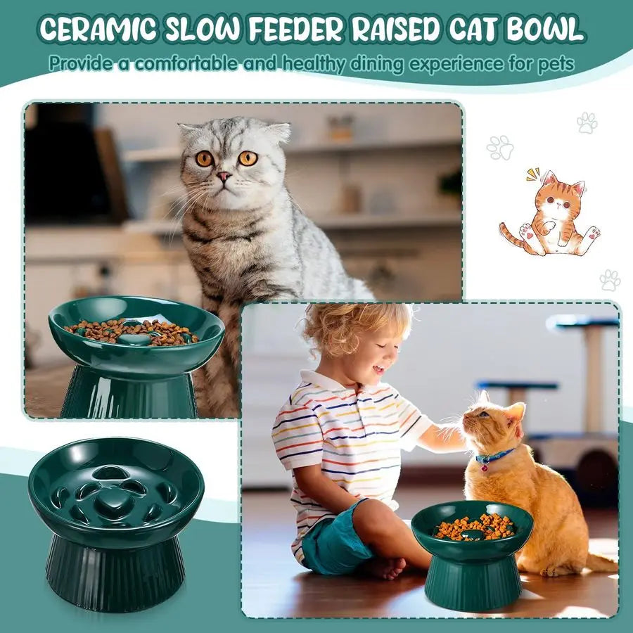 2 Pcs Raised Cat Slow Feeder Bowl Ceramic Elevated Cat Dog Food Bowl No Spill High Edge for Dry Wet Food and Water Easy to Clean