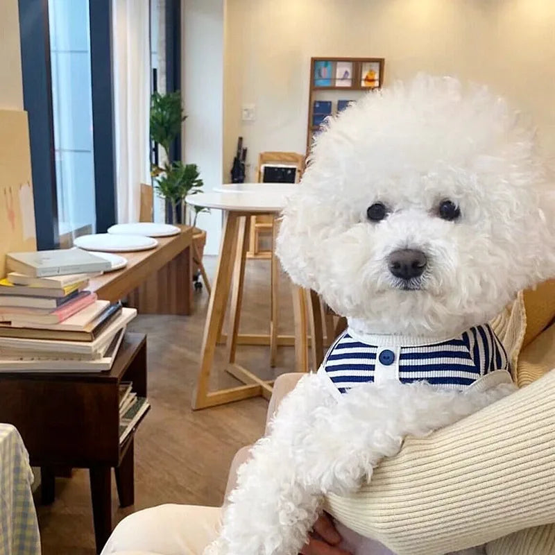 New Pet Dog Striped Sweatshirt Clothes for Small Puppy Summer Clothes Soft Cat Vest Bichon Chihuahua Costumes