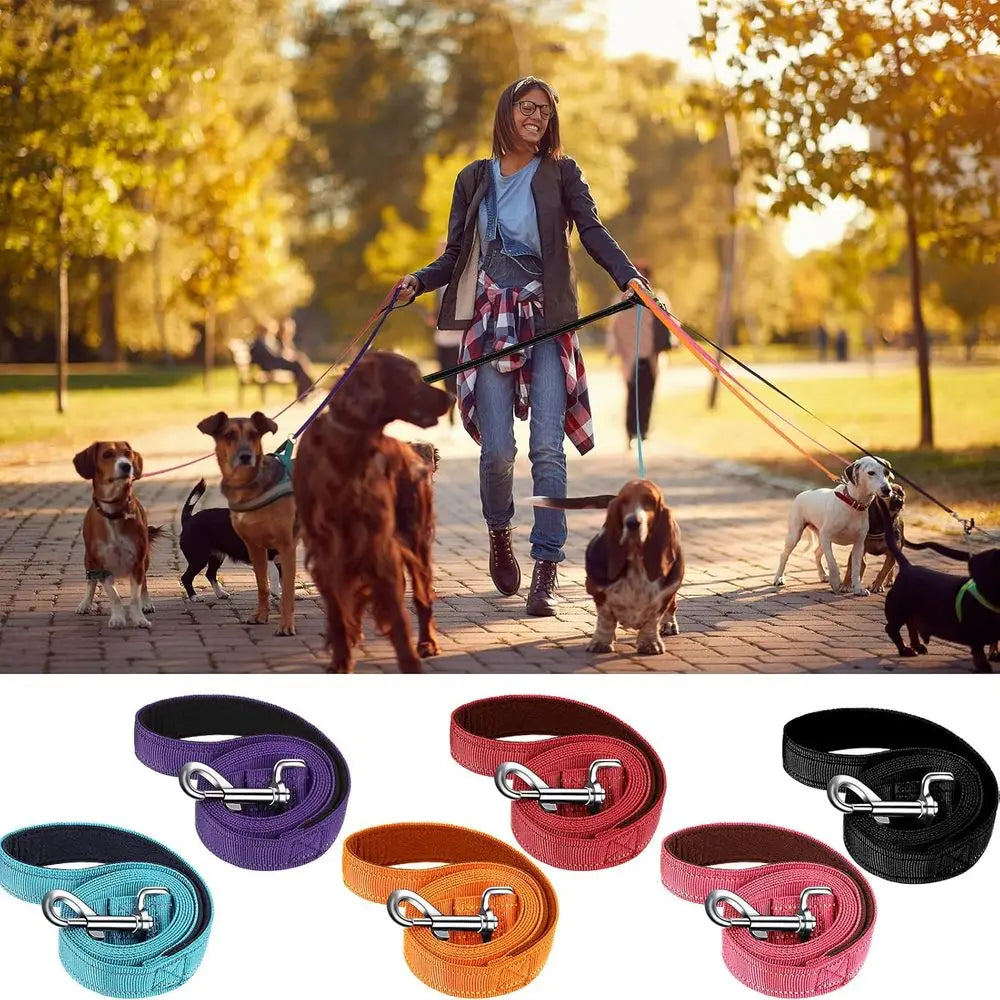 6 Pieces Dog Leash Bulk Medium Large Dog Heavy Duty Nylon Pack Dogs Leashes Padded Handle Double Sided Reflective Puppy Collar W