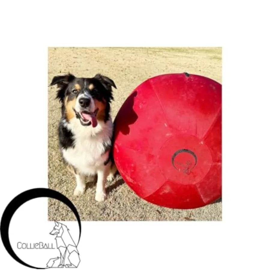 Herding Ball for Dogs 18″ Inflatable Anti-Burst Dog Herding Ball for Australian Shepherds Corgis Collies and Cattle Dogs Durabl