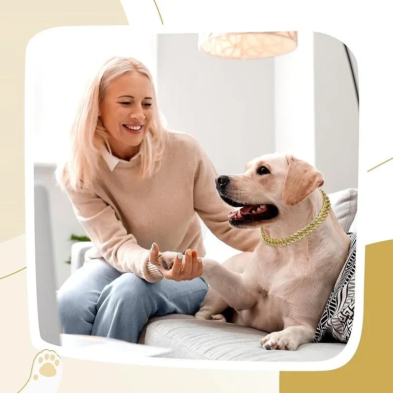 Dog Chain Collar Luxury Gold Pet Metal Chain Collar For Small Medium Large Dogs Cats Pet Jewelry Necklace Accessorie - Barking & Purrfectly Happy