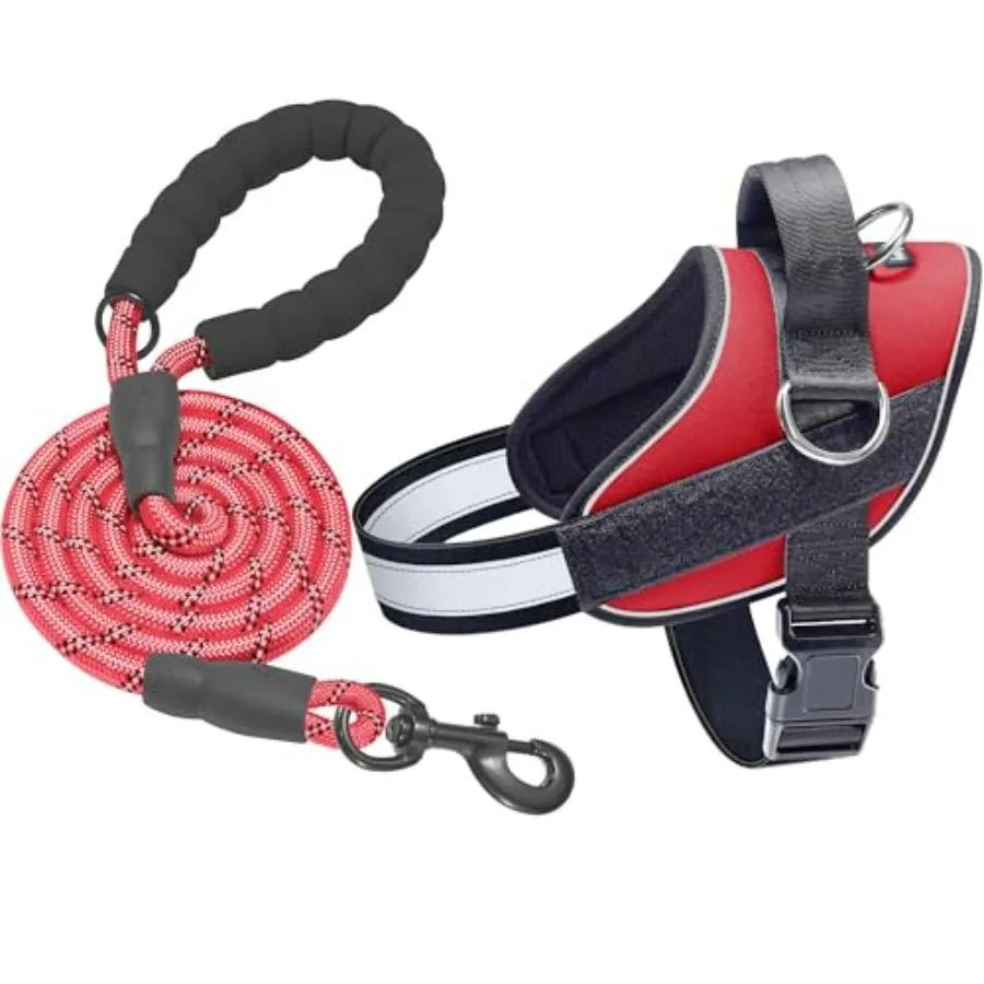 Essential Dog Harness, No Pull Pet Vest with 3 Leash Clips, No Choke, Reflective, Adjustable and Padded, for Easy Walking and T - Barking & Purrfectly Happy