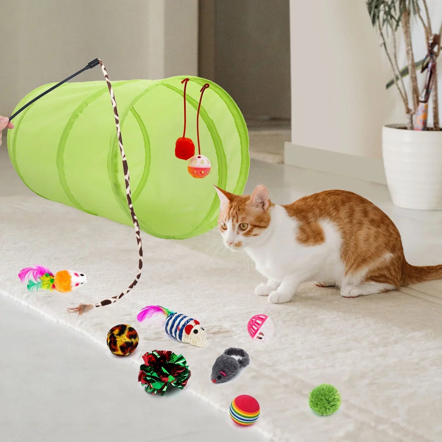 Cat Accessories