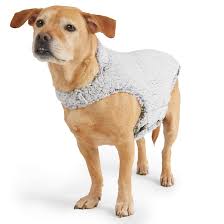 Dog Apparel and Costumes
