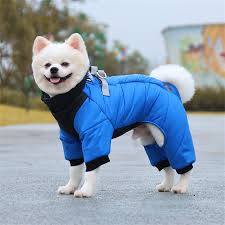 Dog Apparel and Costumes