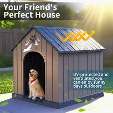 Dog Homes