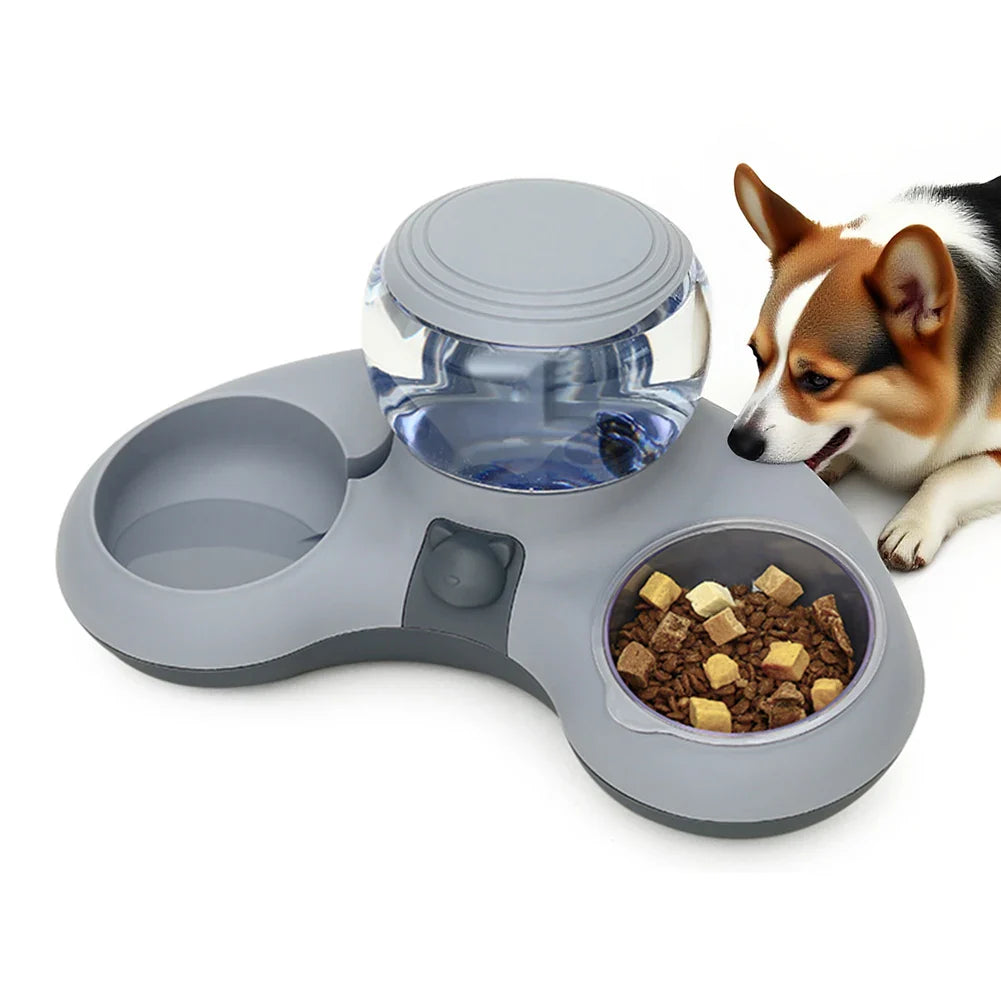 Dog Bowls and Feeding
