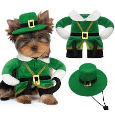 Seasonal Apparel and Costumes