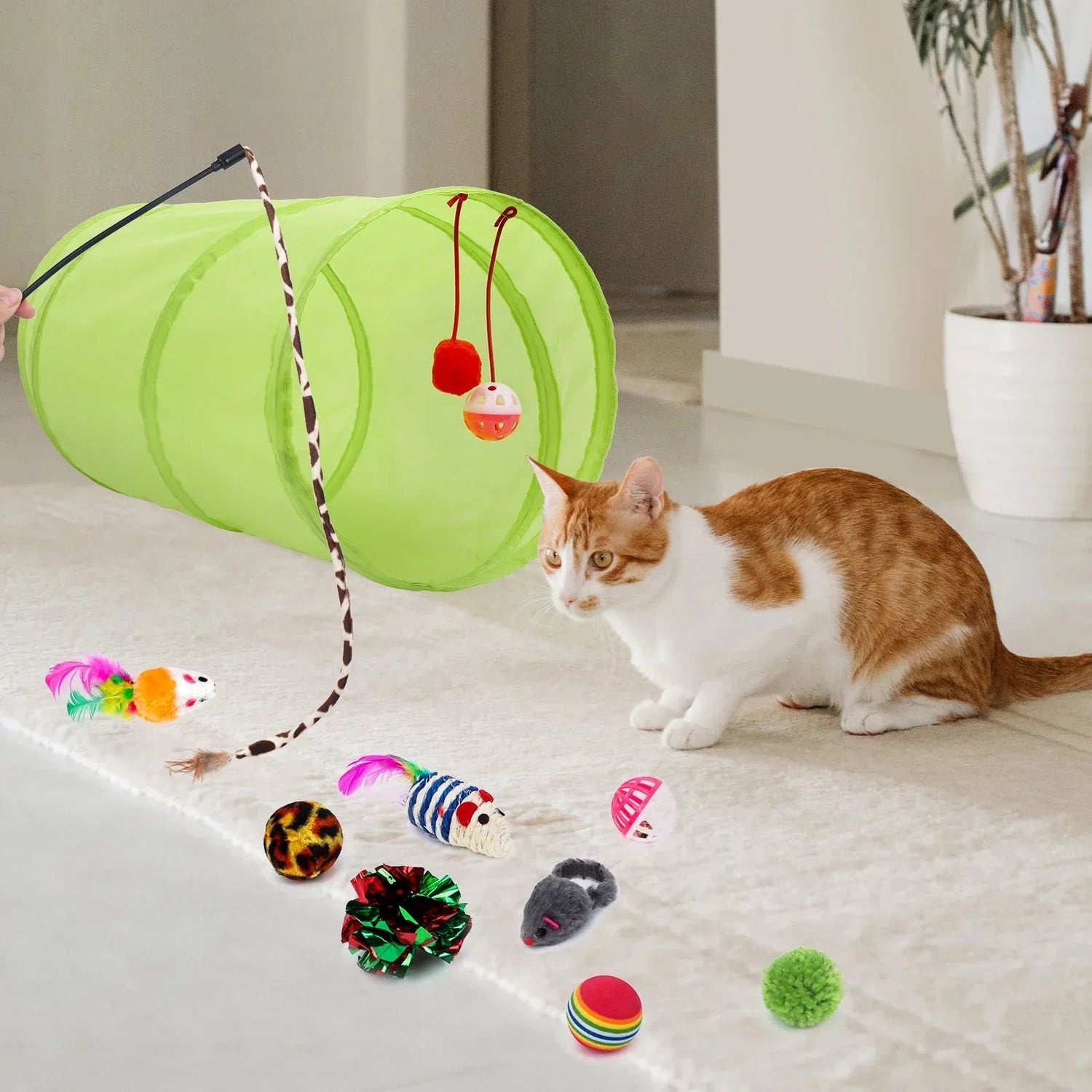 Cat Accessories - Barking & Purrfectly Happy