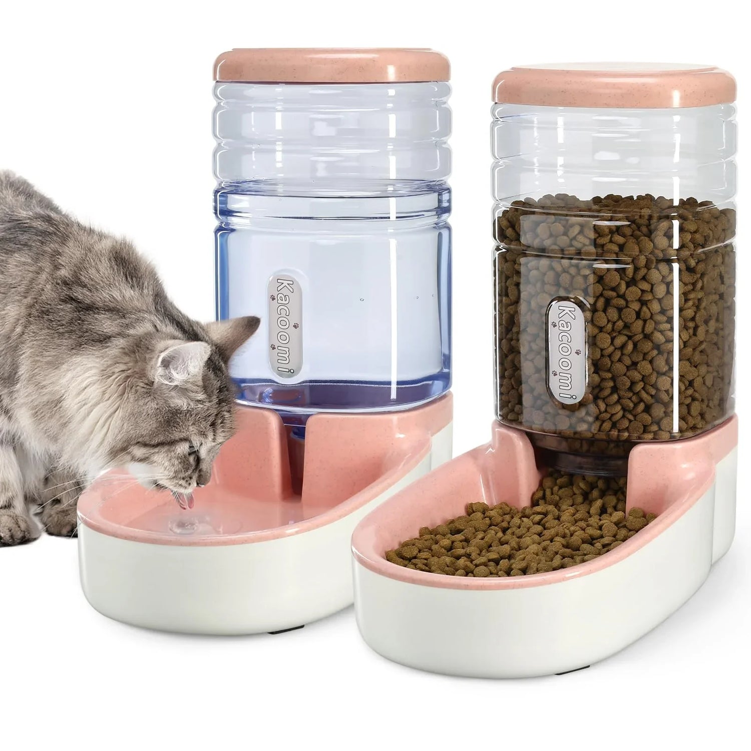 Cat Bowls and Feeding