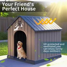 Dog Homes - Barking & Purrfectly Happy