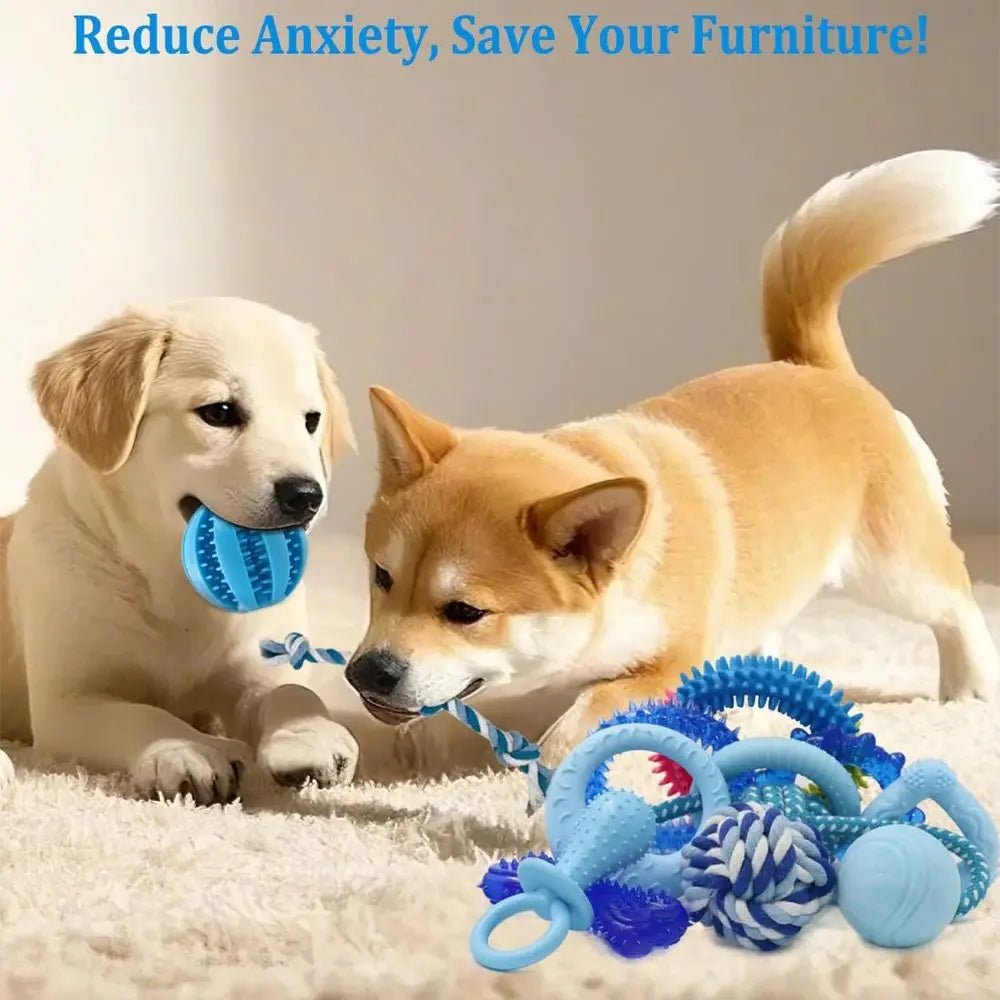 20 Pack Puppy Chew Toys - Blue Dog Teething Toys for Puppies, Teething Rings and Ropes, Rubber Toy Bundle for Small Dogs, Cute I - Barking & Purrfectly Happy