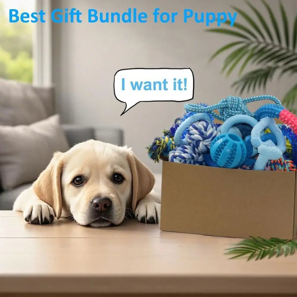 20 Pack Puppy Chew Toys - Blue Dog Teething Toys for Puppies, Teething Rings and Ropes, Rubber Toy Bundle for Small Dogs, Cute I - Barking & Purrfectly Happy