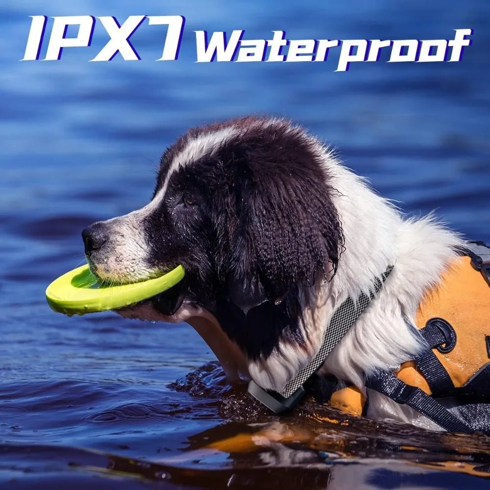 3300Ft Remote Electronic Training Collar for Dogs, 4 Modes, Rechargeable, IPX7 Waterproof - Barking & Purrfectly Happy