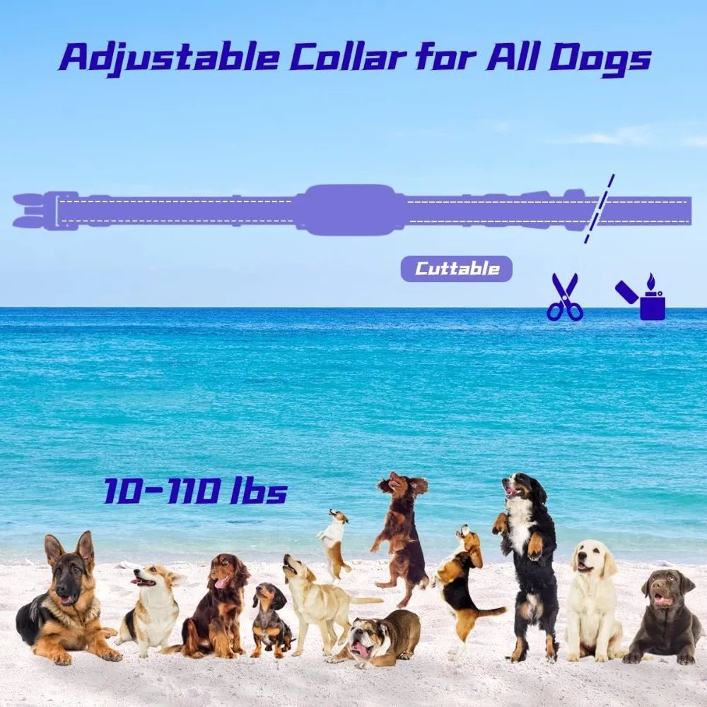 3300Ft Remote Electronic Training Collar for Dogs, 4 Modes, Rechargeable, IPX7 Waterproof - Barking & Purrfectly Happy