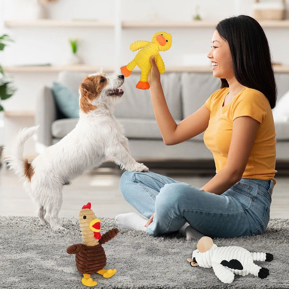 5 Pack Dog Toys Plush Dog Squeaky Toys, Assortment Value Bundle Animal Pet Toy for Small Medium Large Dogs, Stuffed Puppy Chew - Barking & Purrfectly Happy