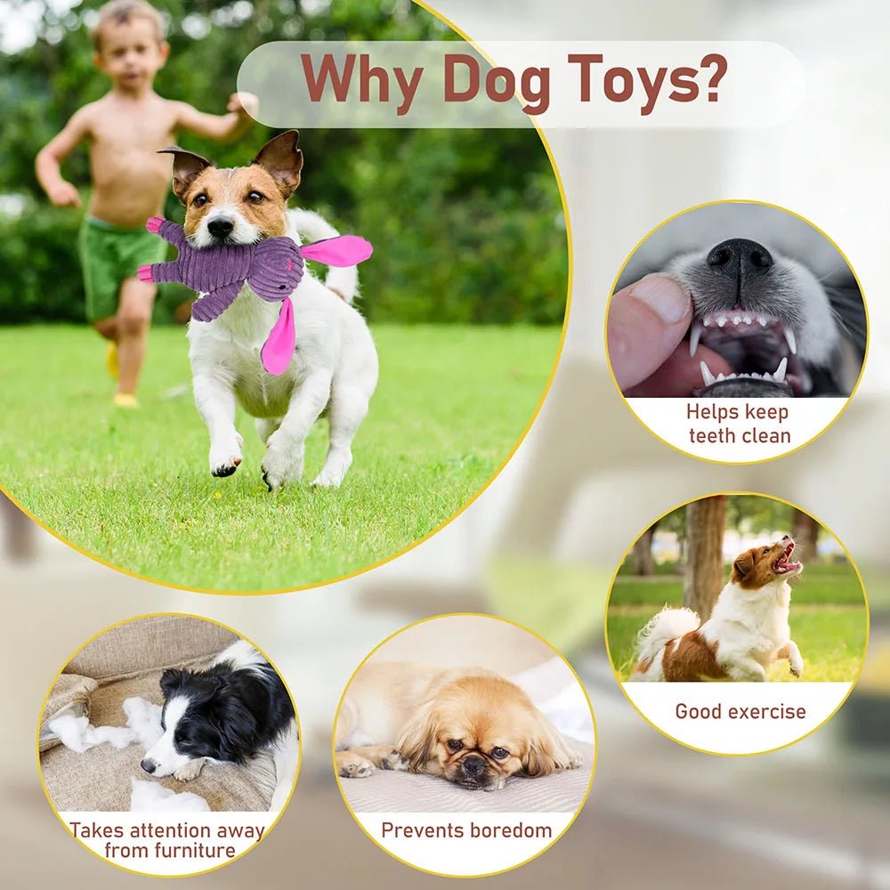 5 Pack Dog Toys Plush Dog Squeaky Toys, Assortment Value Bundle Animal Pet Toy for Small Medium Large Dogs, Stuffed Puppy Chew - Barking & Purrfectly Happy