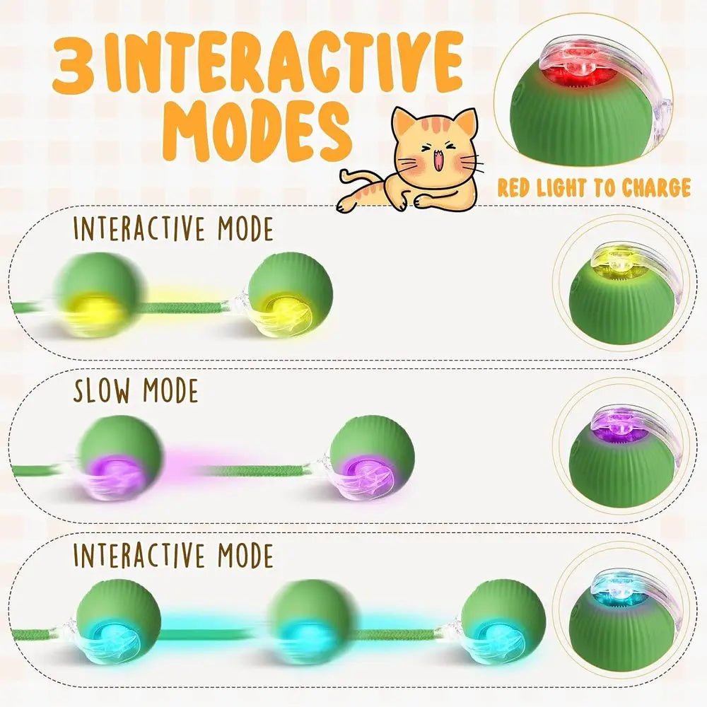 6 Pack Interactive Cat Ball Toy 360° Automatic New Interactive Rolling Ball Rechargeable Gifts for Cat Dog Lovers Indoor Exercis - Barking & Purrfectly Happy