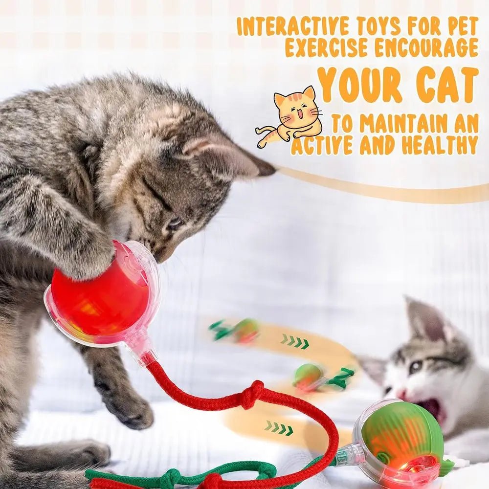 6 Pack Interactive Cat Ball Toy 360° Automatic New Interactive Rolling Ball Rechargeable Gifts for Cat Dog Lovers Indoor Exercis - Barking & Purrfectly Happy