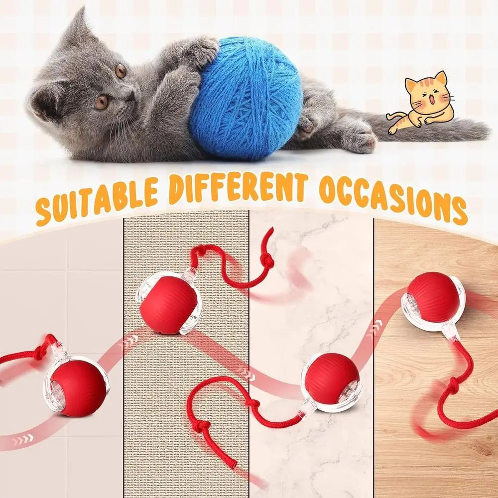 6 Pack Interactive Cat Ball Toy 360° Automatic New Interactive Rolling Ball Rechargeable Gifts for Cat Dog Lovers Indoor Exercis - Barking & Purrfectly Happy