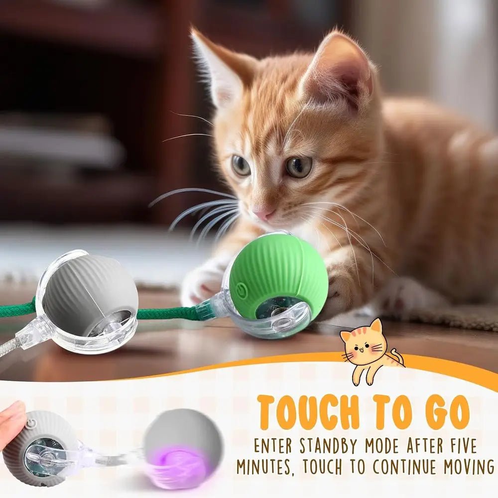 6 Pack Interactive Cat Ball Toy 360° Automatic New Interactive Rolling Ball Rechargeable Gifts for Cat Dog Lovers Indoor Exercis - Barking & Purrfectly Happy