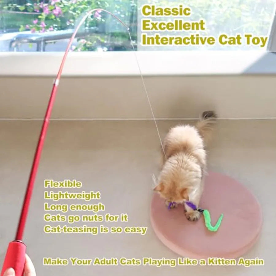 Cat Toys for Indoor Cats, Interactive Cat Toy 2PCS Retractable Wand Toy and 9PCS Cat Feather Toys Refills, Funny Kitten Toys Ca