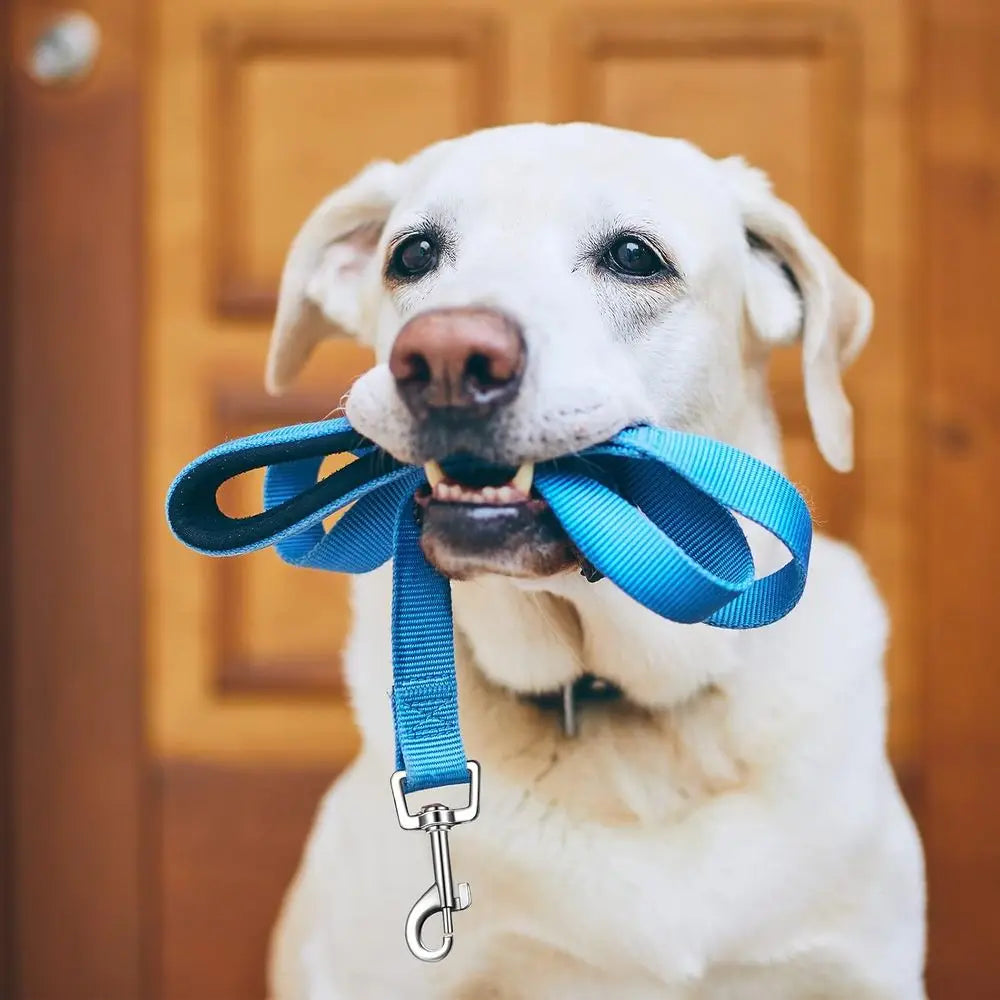 6 Pieces Dog Leash Bulk Medium Large Dog Heavy Duty Nylon Pack Dogs Leashes Padded Handle Double Sided Reflective Puppy Collar W