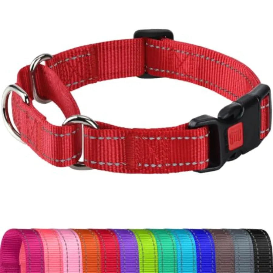 Martingale Collar for Dogs, Reflective Escape Proof Training Dog Collars with Safety Lock Buckle, No Slip Soft Nylon for Medium