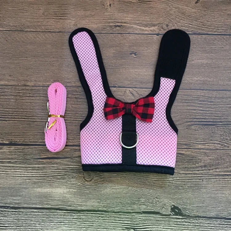 Small Animal Outdoor Walking Harness and Leash Set Cute Clothes for Puppy Kitten Pigs Bunny Chinchillas Necklace Rabbit Vest