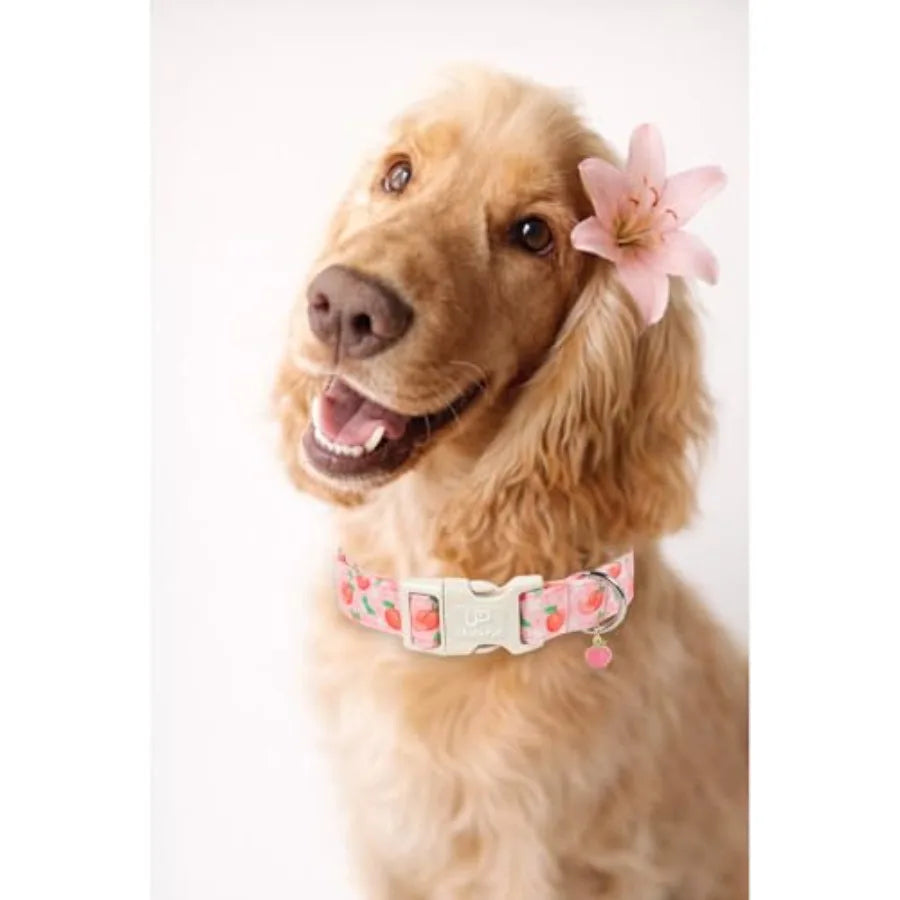 Peach Dog Collar, Summer Spring Cotton Dog Collar, Cute Fruit Pattern Adjustable Pink Pet Collar, Lightweight Durable Quick Rel