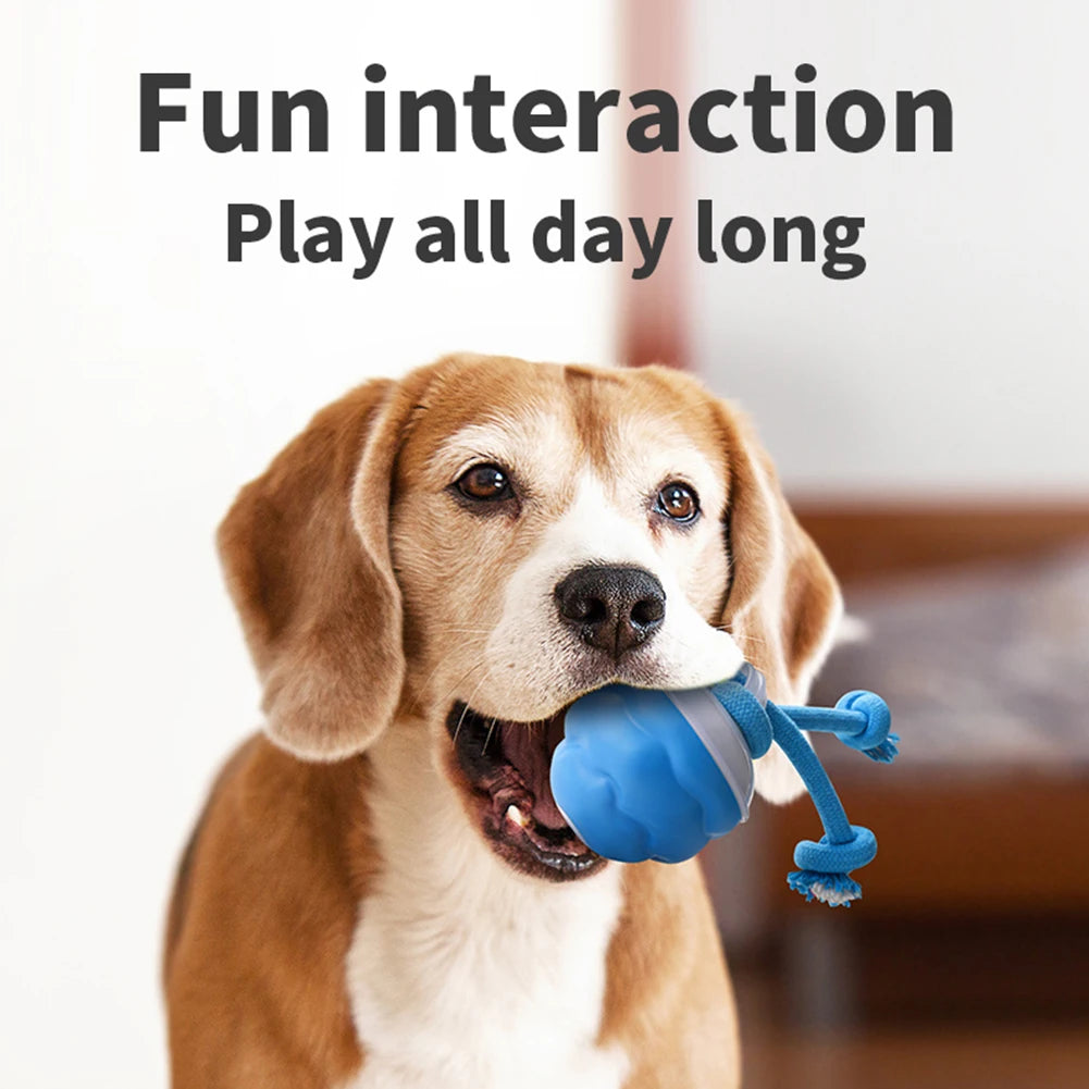 Interactive Dog Toys Ball Electric Rolling Ball USB Rechargeable Motion Activate Cat Toy 3 Modes Pet Exercise Toy for Puppies