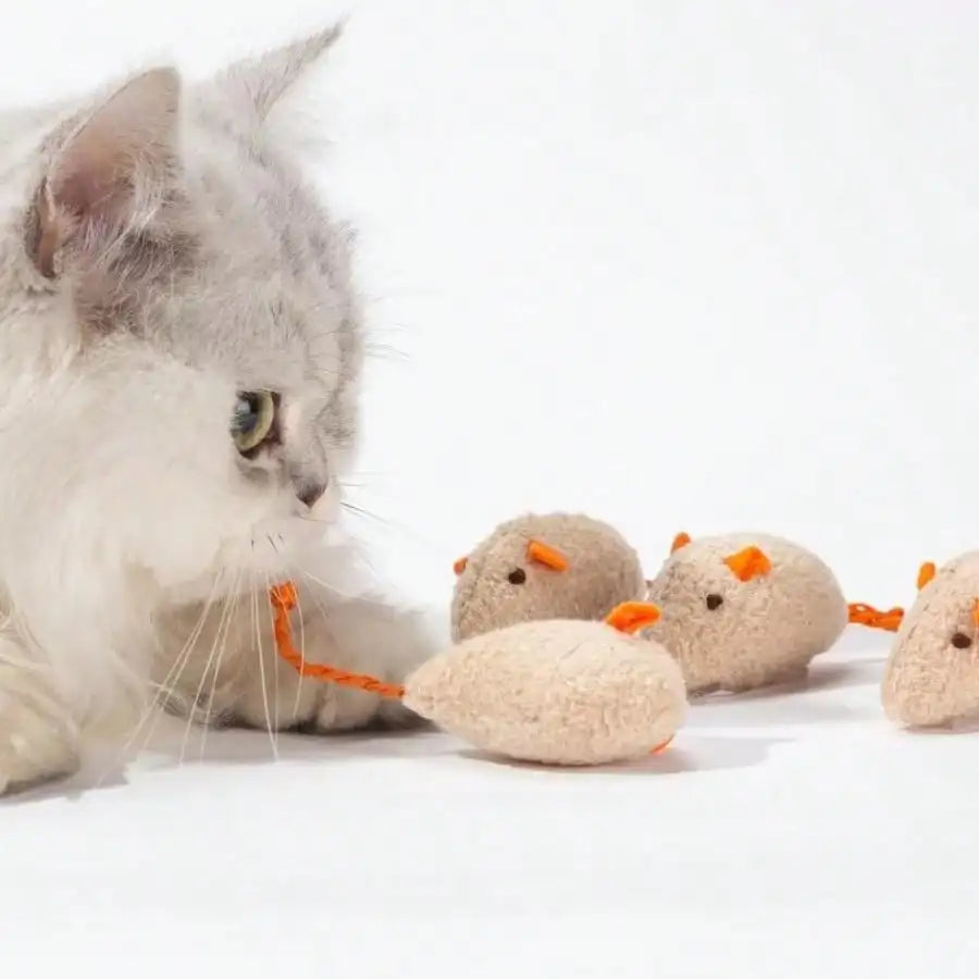 1-10 Pieces Set Rattle Cat Mouse Toy Imitation Fur Cat Mouse Toy Interactive Cat Game Toy Indoor Cat Toy