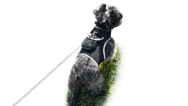 Get Realtime Pet Locations w/ Pet Mini Cat Dog GPS Tracking Collar Size:XXL