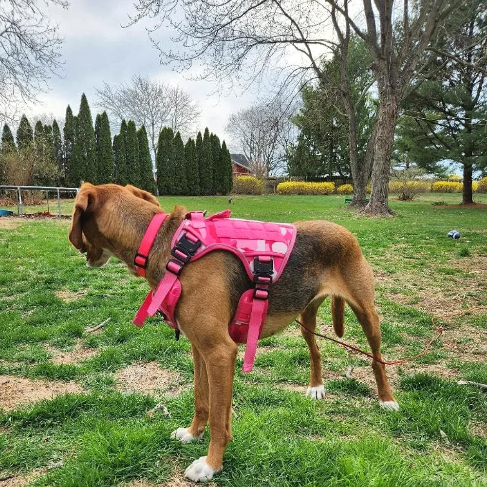 Pink Camo Dog Harness Service Dog Vest for Large Breed Dogs Adjustable Molle Vest Molle Vest with Patchs Hook and Loop Panel