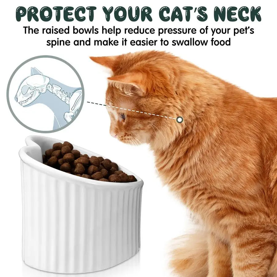 4 Pcs Elevated Cat Food Bowls, Ceramic Raised Cat Bowls, Shallow, Less Digestion Issues, Anti Vomiting, No Stress for Food and W