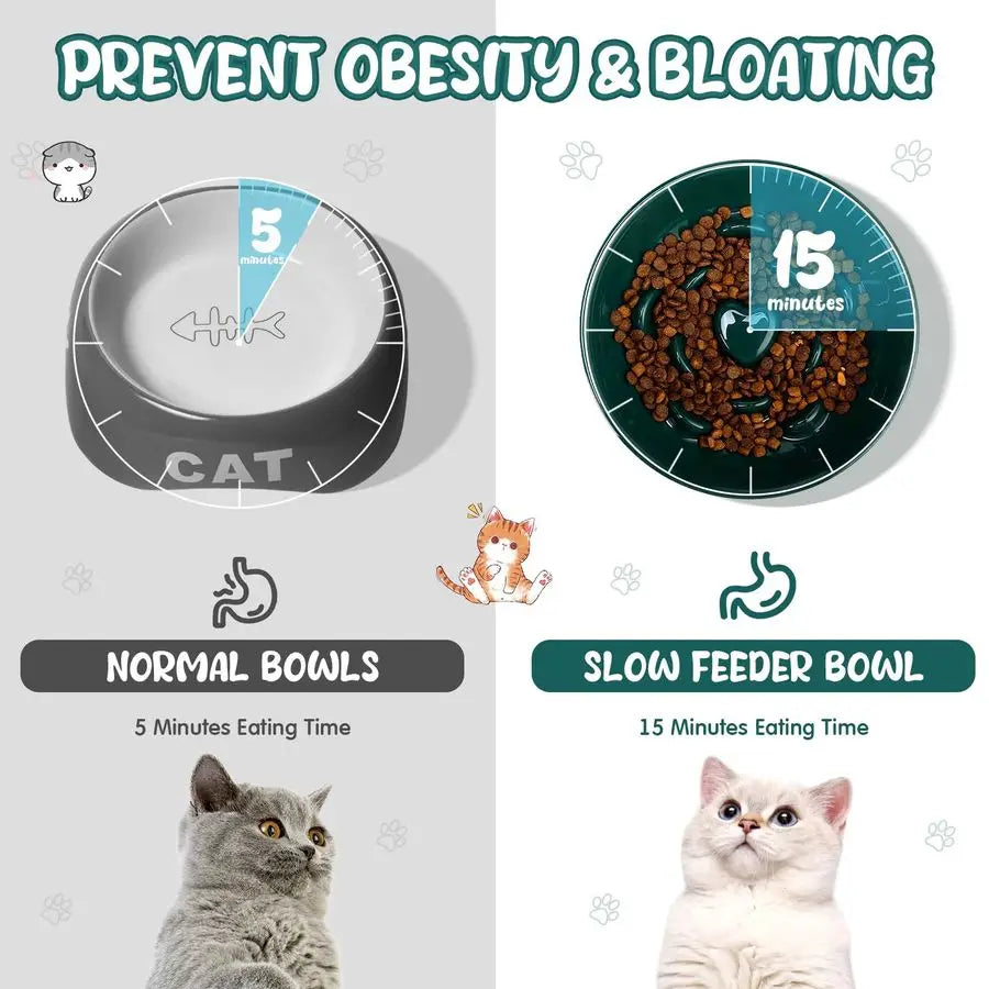 2 Pcs Raised Cat Slow Feeder Bowl Ceramic Elevated Cat Dog Food Bowl No Spill High Edge for Dry Wet Food and Water Easy to Clean