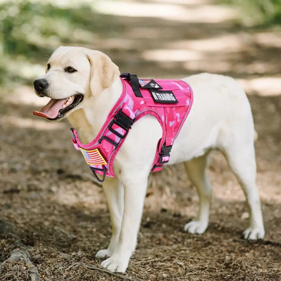 Pink Camo Dog Harness Service Dog Vest for Large Breed Dogs Adjustable Molle Vest Molle Vest with Patchs Hook and Loop Panel