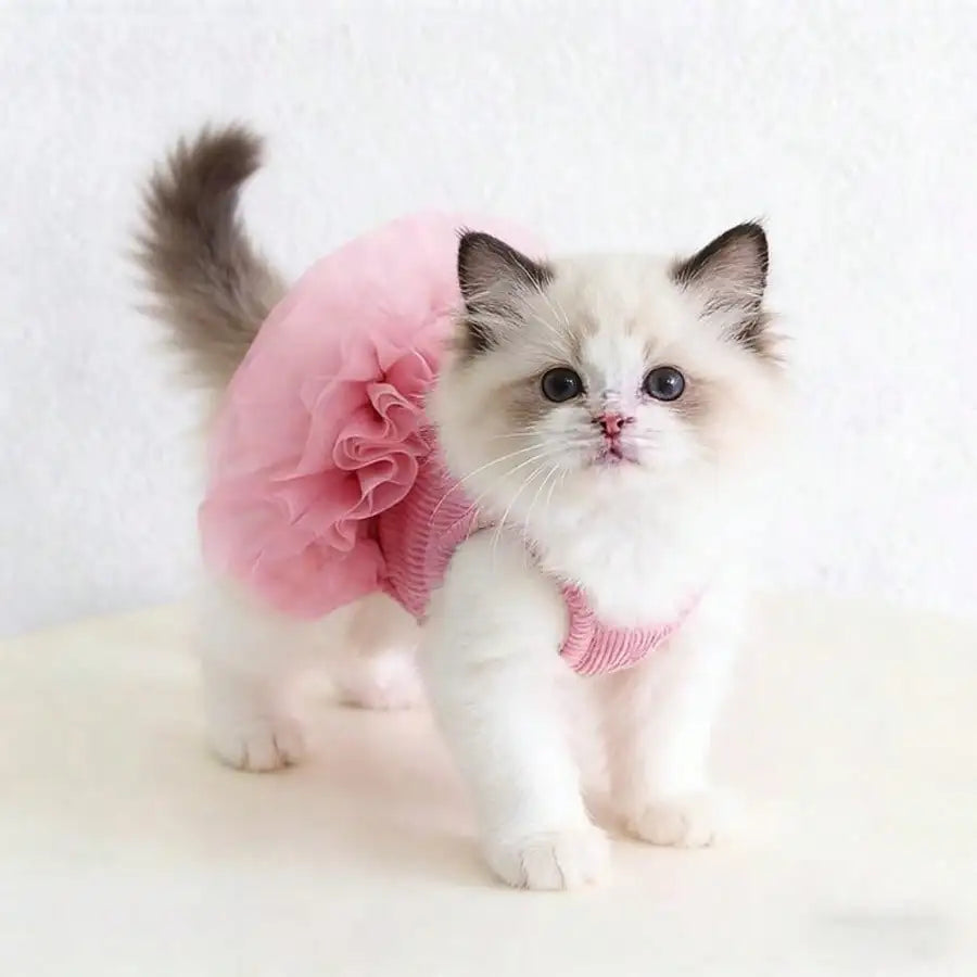1pc Dog Pink Tutu Clothes Valentine Day Dresses Small Doggy Pet Sweet Outdoor Birthday Party Festival Outfit