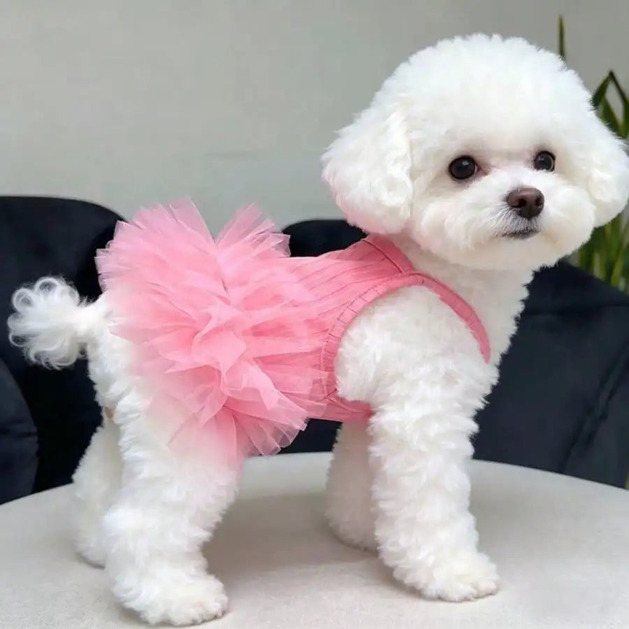 1pc Dog Pink Tutu Clothes Valentine Day Dresses Small Doggy Pet Sweet Outdoor Birthday Party Festival Outfit