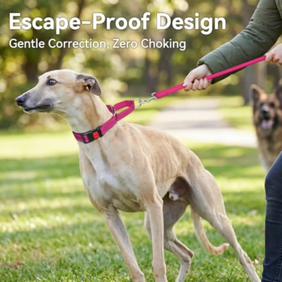 Martingale Collar for Dogs, Reflective Escape Proof Training Dog Collars with Safety Lock Buckle, No Slip Soft Nylon for Medium