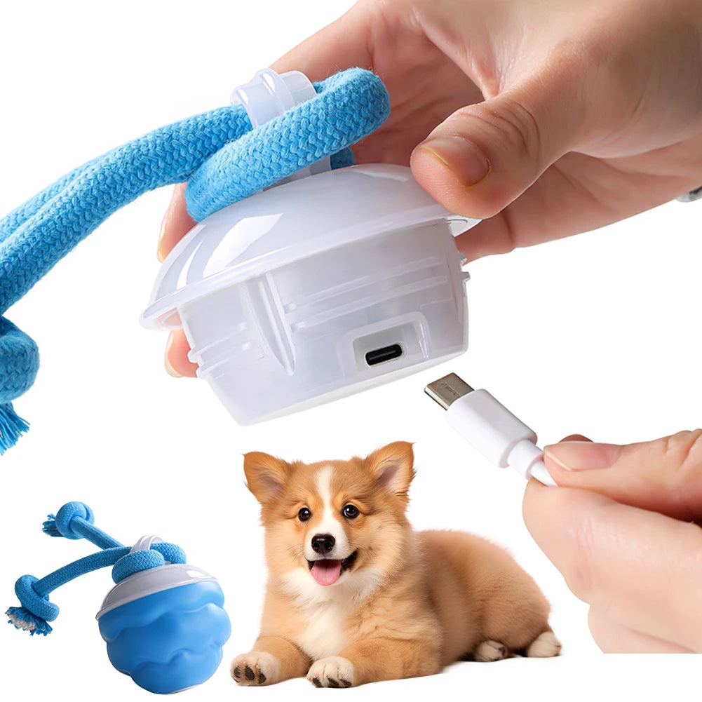 Interactive Dog Toys Ball Electric Rolling Ball USB Rechargeable Motion Activate Cat Toy 3 Modes Pet Exercise Toy for Puppies