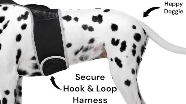 Get Realtime Pet Locations w/ Pet Mini Cat Dog GPS Tracking Collar Size:XXL