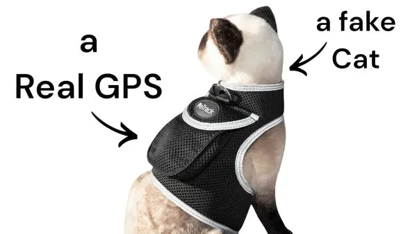 Get Realtime Pet Locations w/ Pet Mini Cat Dog GPS Tracking Collar Size:XXL