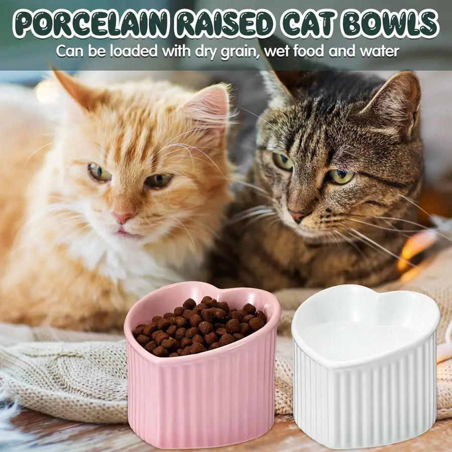 4 Pcs Elevated Cat Food Bowls, Ceramic Raised Cat Bowls, Shallow, Less Digestion Issues, Anti Vomiting, No Stress for Food and W