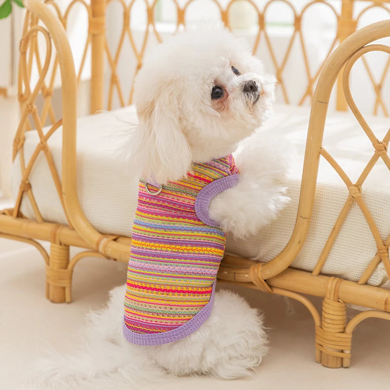 Striped Dog Vest with D-Ring and Breathable Eyelet Design Perfect Summer and Spring Clothes for Small Dogs and Cats Stylish