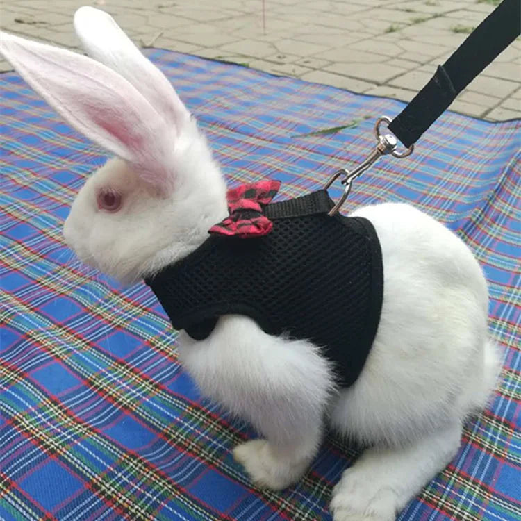 Small Animal Outdoor Walking Harness and Leash Set Cute Clothes for Puppy Kitten Pigs Bunny Chinchillas Necklace Rabbit Vest