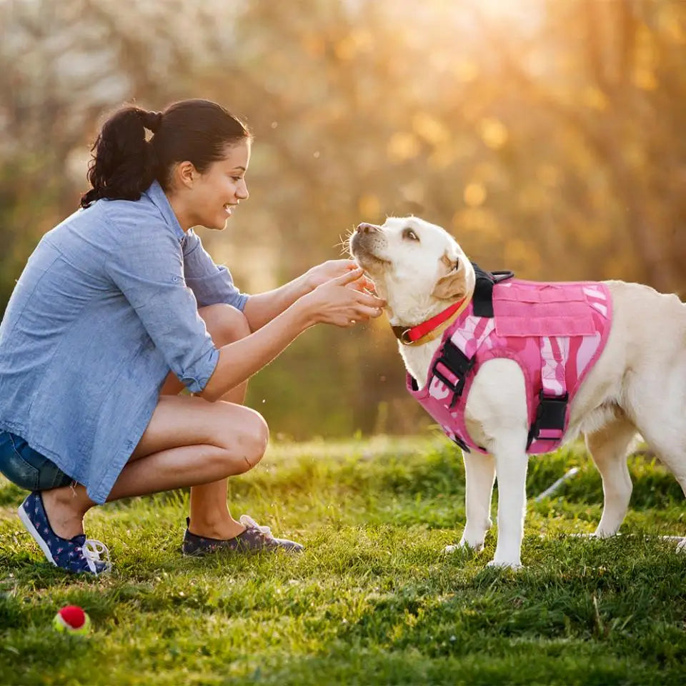 Pink Camo Dog Harness Service Dog Vest for Large Breed Dogs Adjustable Molle Vest Molle Vest with Patchs Hook and Loop Panel