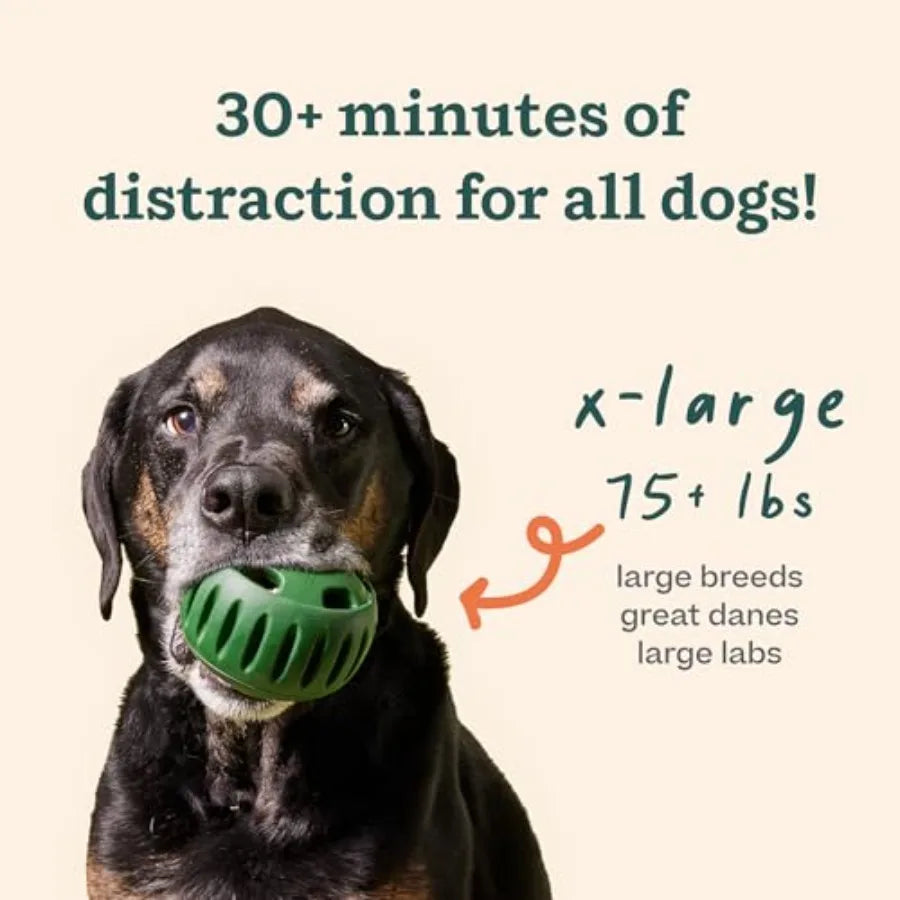 Pupsicle and Treat Tray - Long-Lasting Interactive Dog Ball Toy and Silicone Dog Treat Mold - Keep Your Pup Busy - Easy to Clea