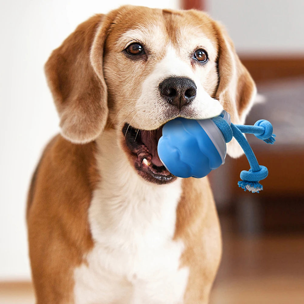 Interactive Dog Toys Ball Electric Rolling Ball USB Rechargeable Motion Activate Cat Toy 3 Modes Pet Exercise Toy for Puppies