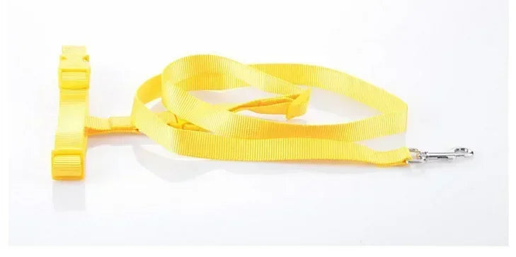 Chest Hands 1PC Belt Traction Walking Pet Lead Gift Free Rope Cat Running Pets Adjustable Strap Waist Jogging Supplies Dog Leash
